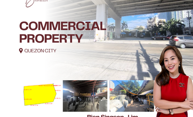 Commercial Lot in Quezon City For Sale Income Generating