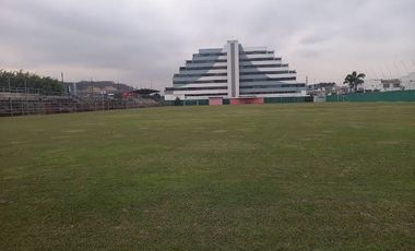 Local de alquiler Frente a la Joya