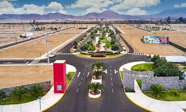 VENTA DE DOS TERRENOS CONTIGUOS EN LA ALAMEDA LIMA SUR VII ETAPA - CHILCA