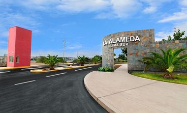 VENTA DE DOS TERRENOS CONTIGUOS EN LA ALAMEDA LIMA SUR VII ETAPA - CHILCA