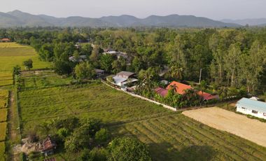 ขายบ้านสวนพร้อมที่ดิน 273 ตารางวา บ้านศรีวังธาร ป่าไผ่ สันทราย ห่างมหาวิทยาลัยแม่โจ้ประมาณ 5 กม.