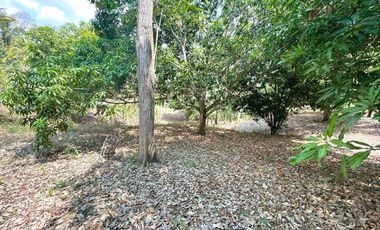 FINCA EN VENTA SECTOR LOMA DE PIEDRA TURBACO