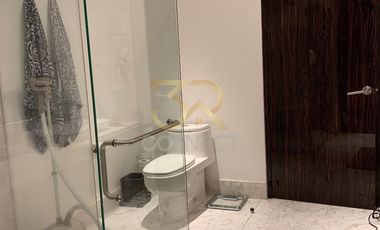Departamento PH Venta en Polanco 4R/3.5B/4E - Terraza Techada - 450 m2