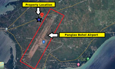 FOR SALE LOT NEXT TO PANGLAO AIRPORT BOHOL