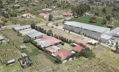 PROPIEDAD RENTERA EN MONTALVO