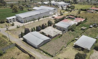 PROPIEDAD RENTERA EN MONTALVO