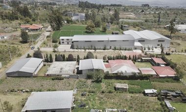 PROPIEDAD RENTERA EN MONTALVO