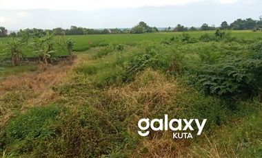 DIJUAL / DISEWAKAN TANAH BYPASS NGURAH RAI IDA BAGUS MANTRA KETEWEL SUKAWATI GIANYAR, BALI
