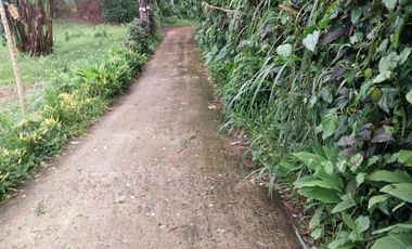 1,200 SQM Land Parcel located at Brgy. Matagbac II, Alfonso, Cavite, Philippines