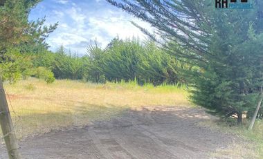 Parcela 5.046 m2 con Acceso a Agua y Factibilidad de Luz, Ubicada a 4 Km de Pucón