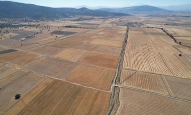 Terreno Ejidal de 1.6 Hectáreas en Venta en Apan, Hidalgo.