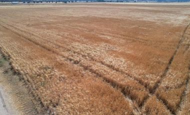 Terreno Ejidal de 1.6 Hectáreas en Venta en Apan, Hidalgo.