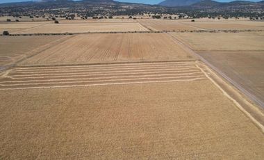 Terreno Ejidal de 1.6 Hectáreas en Venta en Apan, Hidalgo.