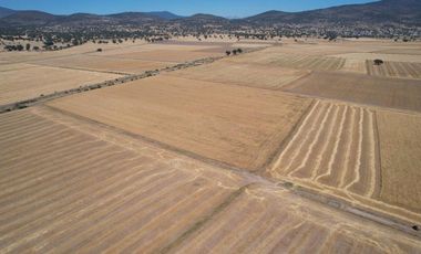 Terreno Ejidal de 1.6 Hectáreas en Venta en Apan, Hidalgo.