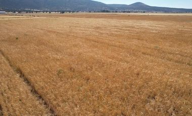 Terreno Ejidal de 1.6 Hectáreas en Venta en Apan, Hidalgo.