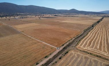Terreno Ejidal de 1.6 Hectáreas en Venta en Apan, Hidalgo.