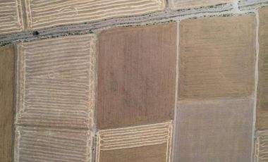 Terreno Ejidal de 1.6 Hectáreas en Venta en Apan, Hidalgo.