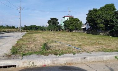 10,000 sqm Commercial Lot for Lease at Brgy Zone 3, Dasmarinas City