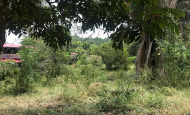 Lote en venta en Melgar - La Cajita.