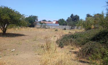 OLMUE Vendo Terreno central y plano