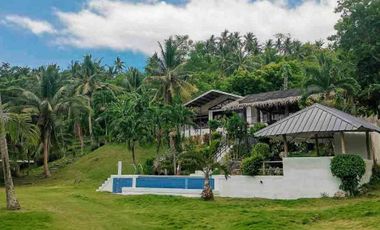 Beach House for Sale in Badian Cebu