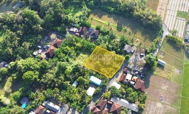 Prime Freehold Land for Sale 950 sqm, Ideal for Development