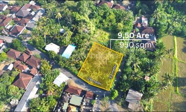 Prime Freehold Land for Sale 950 sqm, Ideal for Development
