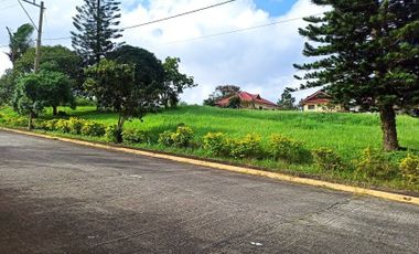 Residential Land in exclusive South Midland Subdivision along Aguinaldo Highway, Silang, Cavite