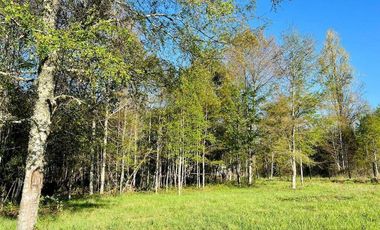 Maravillosas parcelas con acceso exclusivo al lago por subterráneo a 13 km de Pucón