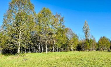 Maravillosas parcelas con acceso exclusivo al lago por subterráneo a 13 km de Pucón