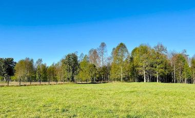 Maravillosas parcelas con acceso exclusivo al lago por subterráneo a 13 km de Pucón