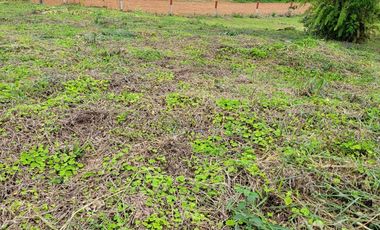 Lindo terreno 500 m2 en la ciudad de Pedro Vicente Maldonado.
