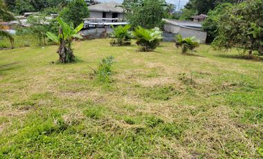Lindo terreno 500 m2 en la ciudad de Pedro Vicente Maldonado.