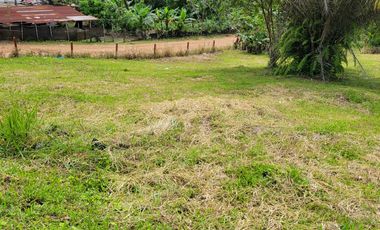 Lindo terreno 500 m2 en la ciudad de Pedro Vicente Maldonado.