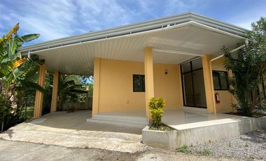 Apartments For Rent/Lease in Catarman, Dauis, Panglao Island, Bohol