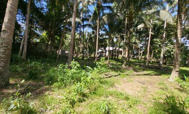 Residential Lot For Sale in Balo-i