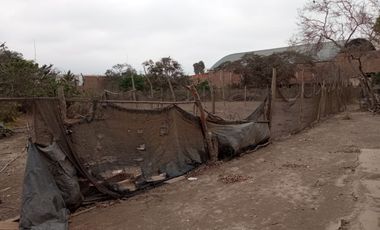 Se Vende Terreno Industrial En Puente Piedra Zonificacion Industrial II Lote B
