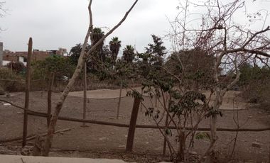 Se Vende Terreno Industrial En Puente Piedra Zonificacion Industrial II Lote B