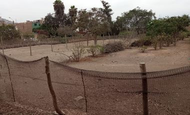 Se Vende Terreno Industrial En Puente Piedra Zonificacion Industrial II Lote B