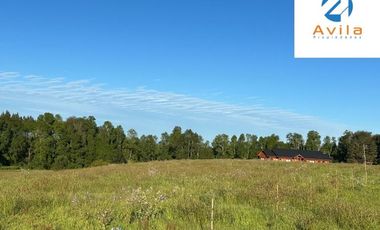 Villarrica Loncoche Parcela de 5.000m2 en Condominio Country Villarrica III COD.VTAP121