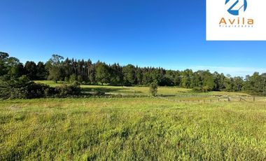 Villarrica Loncoche Parcela de 5.000m2 en Condominio Country Villarrica III COD.VTAP121