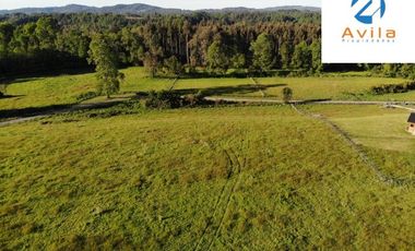 Villarrica Loncoche Parcela de 5.000m2 en Condominio Country Villarrica III COD.VTAP121