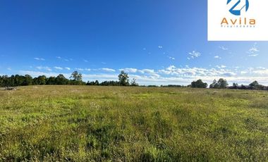 Villarrica Loncoche Parcela de 5.000m2 en Condominio Country Villarrica III COD.VTAP121