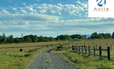 Villarrica Loncoche Parcela de 5.000m2 en Condominio Country Villarrica III COD.VTAP121