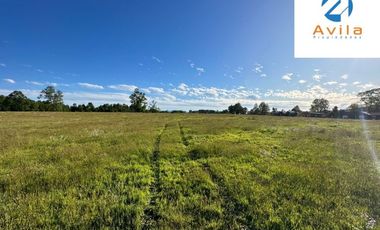 Villarrica Loncoche Parcela de 5.000m2 en Condominio Country Villarrica III COD.VTAP121
