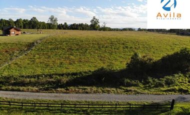 Villarrica Loncoche Parcela de 5.000m2 en Condominio Country Villarrica III COD.VTAP121
