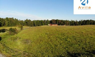 Villarrica Loncoche Parcela de 5.000m2 en Condominio Country Villarrica III COD.VTAP121