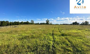 Villarrica Loncoche Parcela de 5.000m2 en Condominio Country Villarrica III COD.VTAP121