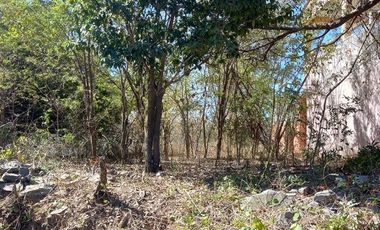 Terreno en Venta 140 m2 el Capire Zihuatanejo T514