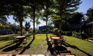 Popular Hostel In a Great Location For Sale In Pai